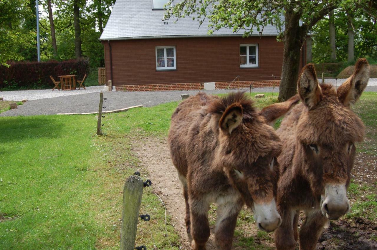 Gites La Charretterie Ourville-en-Caux Eksteriør billede